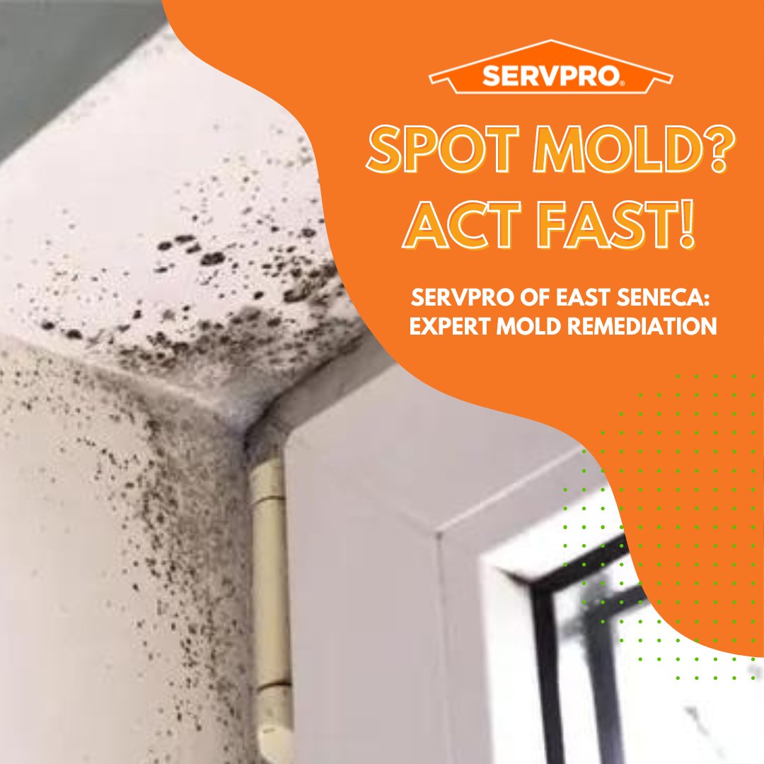 SERVPRO of Huron and East Seneca Counties tweet media