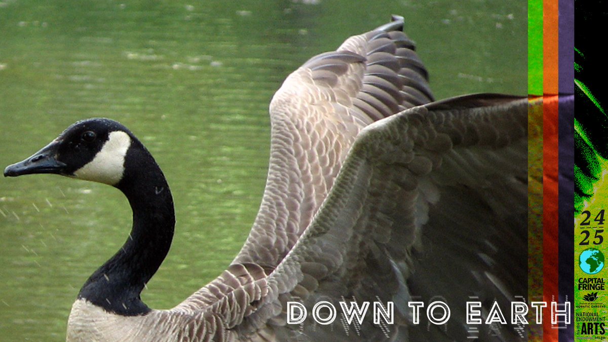 Down to Earth Selected Artist Announcement
Learn more: bit.ly/selectedartists