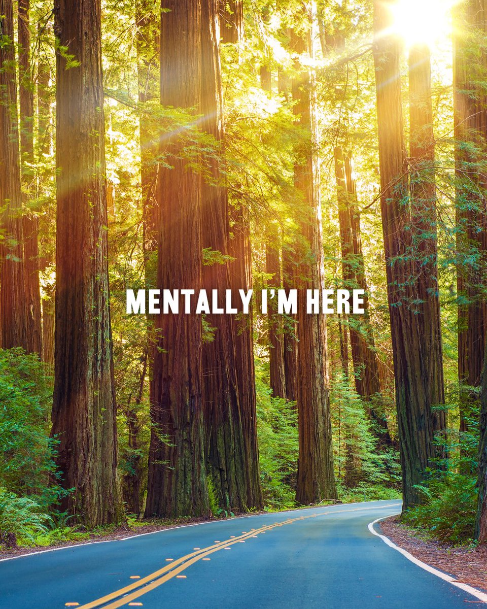 Redwood Musical tweet media