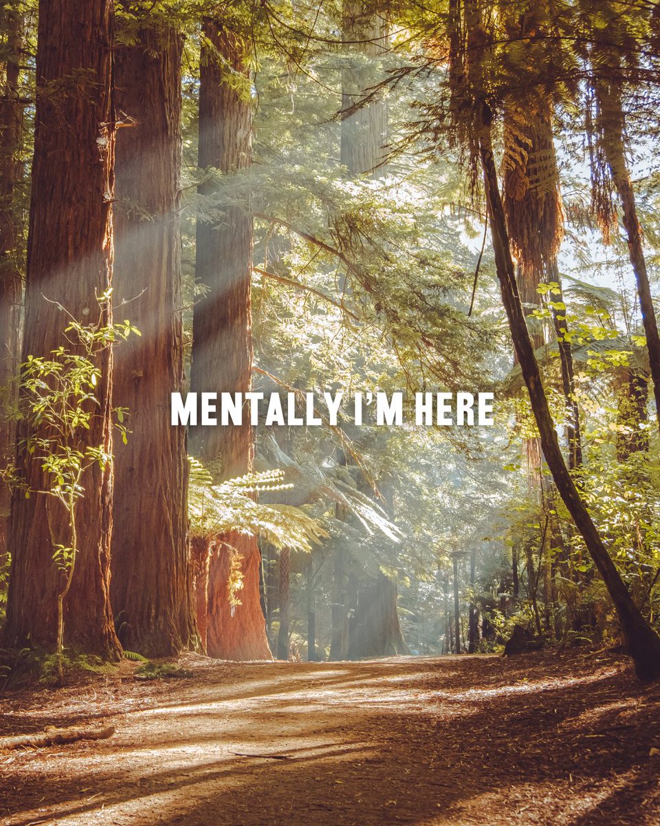 Redwood Musical tweet media