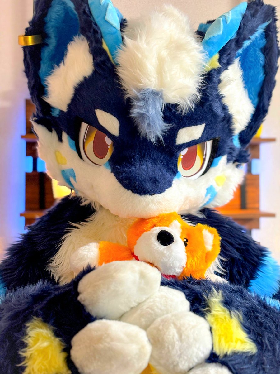 もふちゃ🍵🌸 tweet media