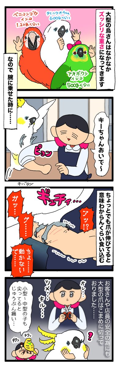 爪が伸びた大型の鳥さんを腕に乗せると、ズタズタになる━━━━

1928 #えるポピの絵日記かくところ 