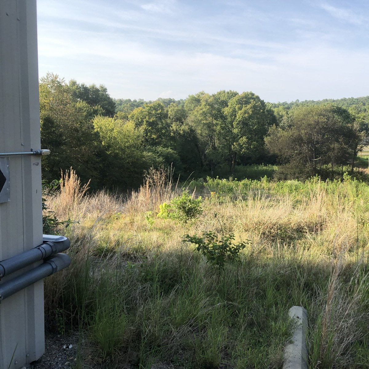 Origami Sake tweet media