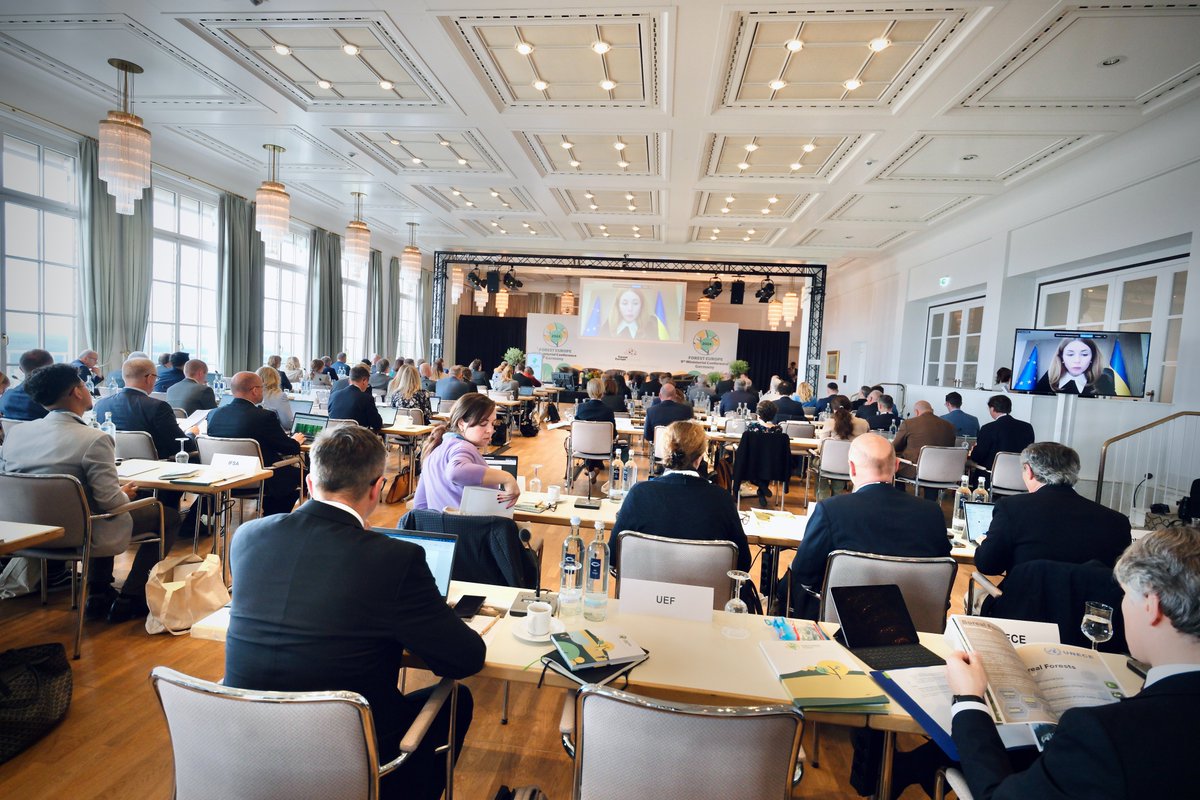 FORESTEUROPE's tweet photo. Keeping the concept of Sustainable Forest Management fit for the future was the main objective of our first session feedback. Now, we focus on the advantages of a Forest Risk Facility such as #FoRISK

#9MC #FutureForests https://t.co/DQUgDUonUf