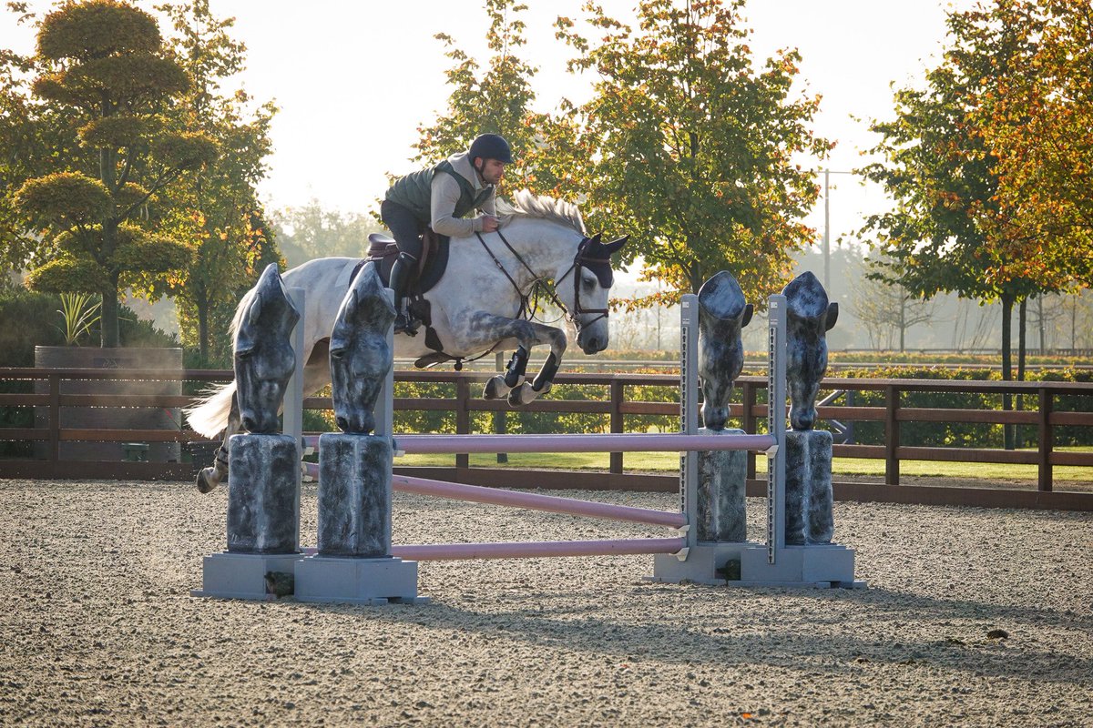 Cian_O_Connor's tweet photo. Morning at Karlswood training our young horses ✨🇮🇪
#cianoconnor #teamkarlswood #karlswood #karlswoodtraining #kwtraining #showjumping #equestrian #horse #horsesport https://t.co/PoS4c8D55o