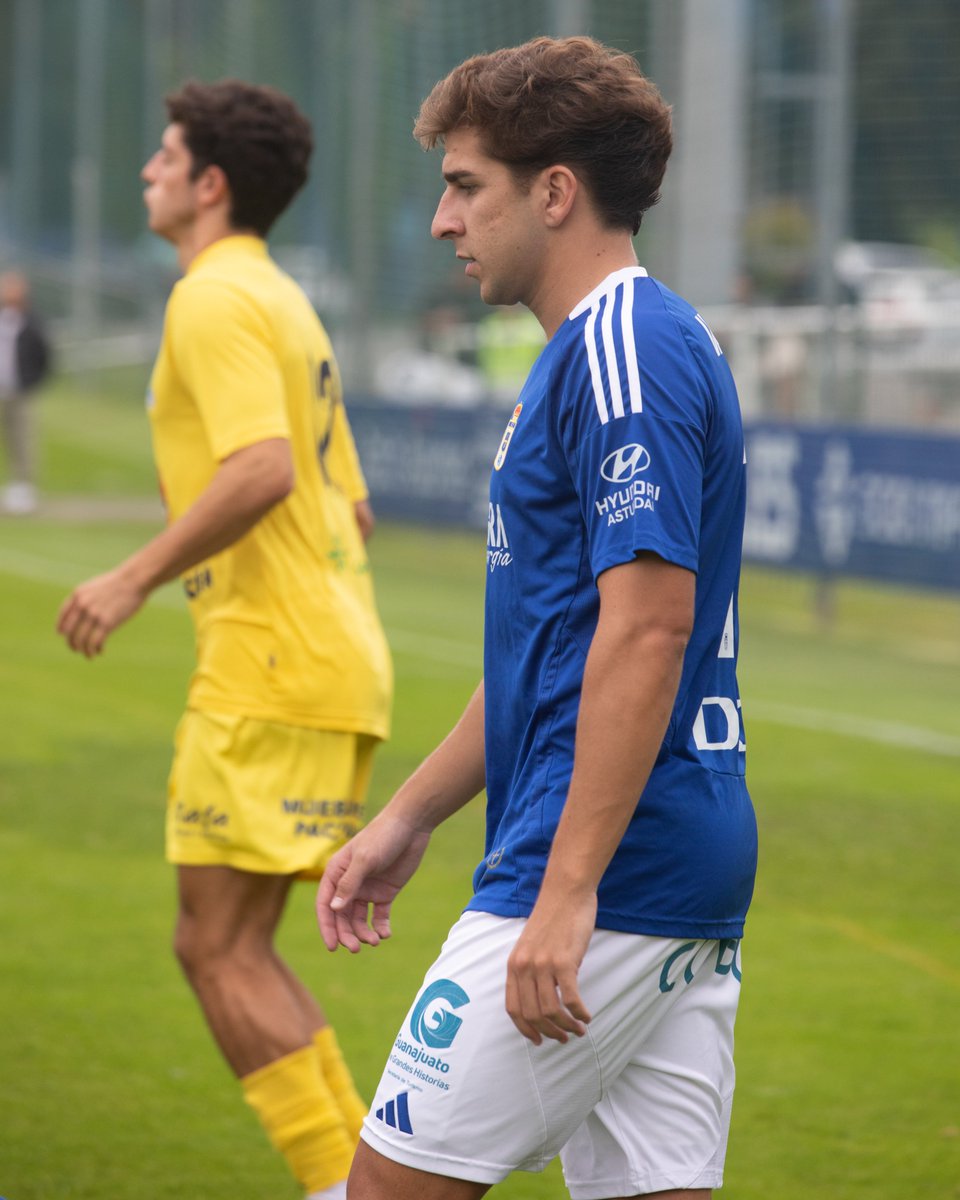 NIAGARA SUR tweet media