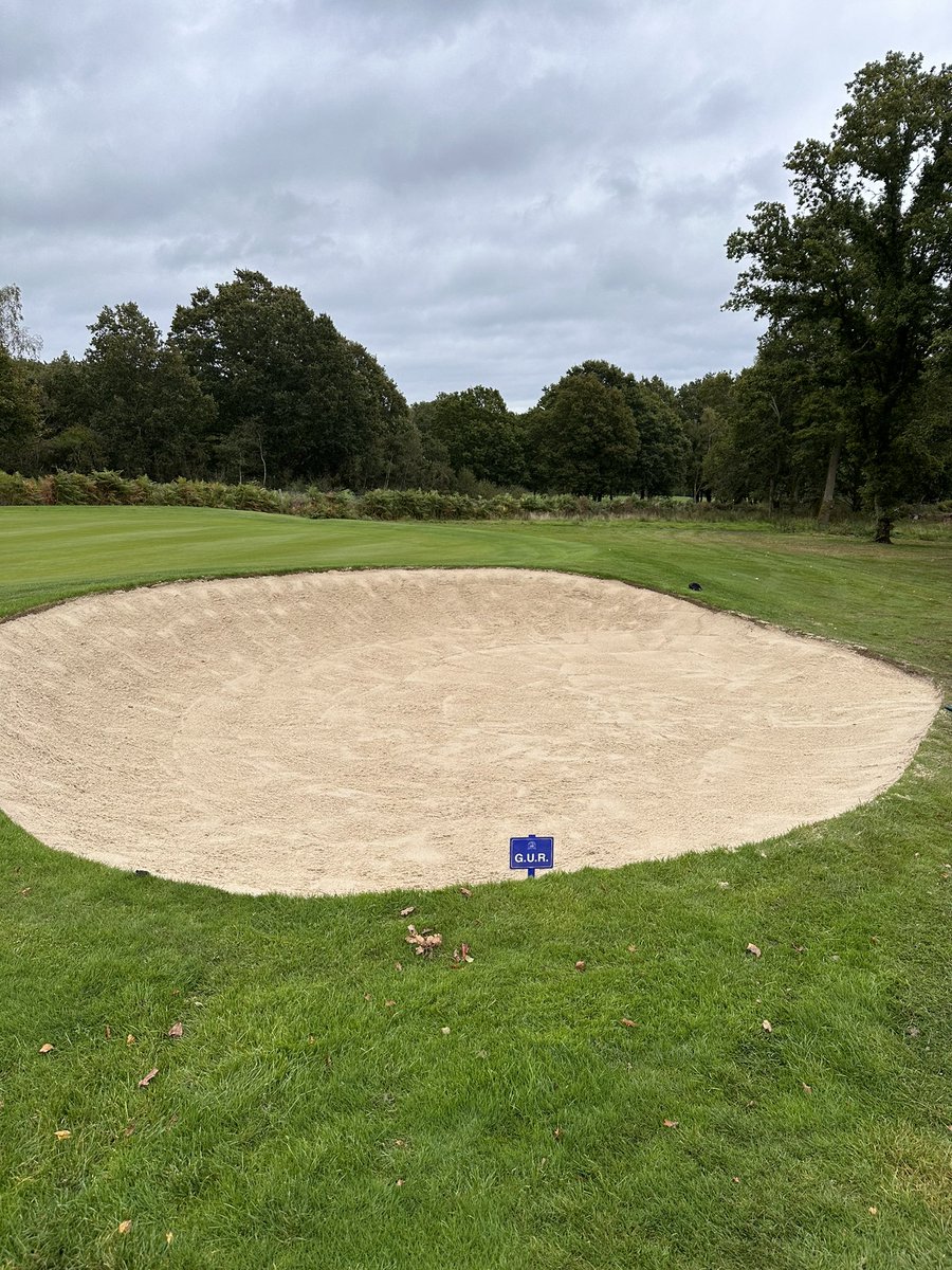 Ryan Lindsay tweet media