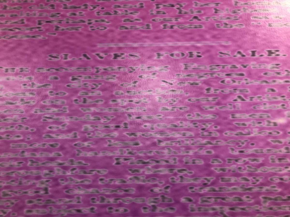 | Stephanie Birch tweet media