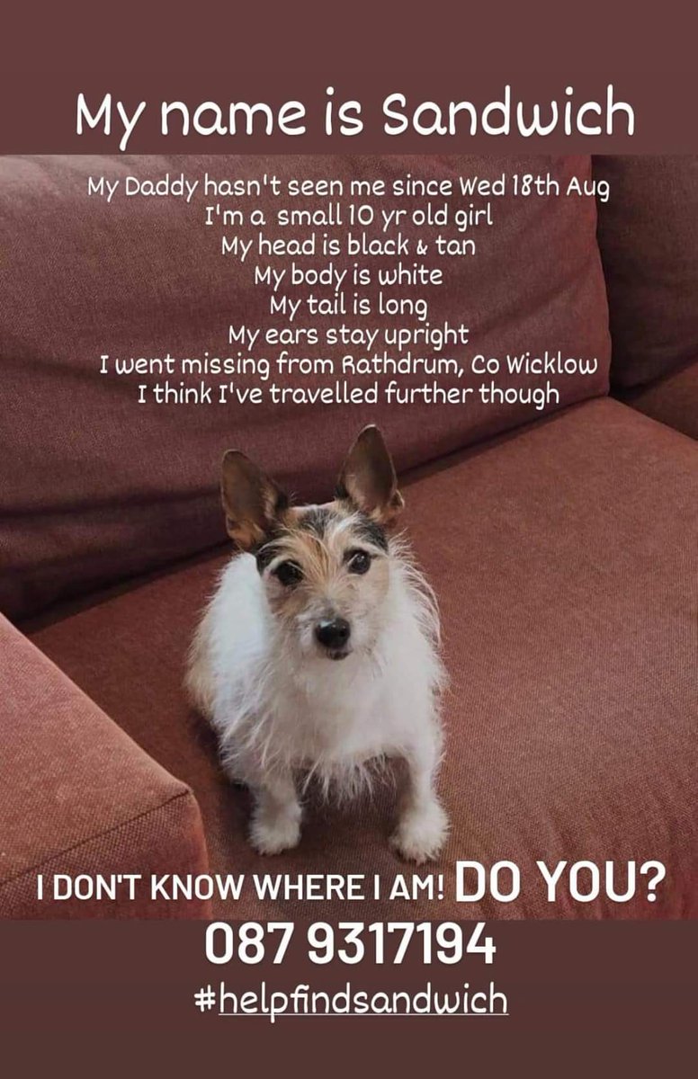 marie_kate2's tweet image. 