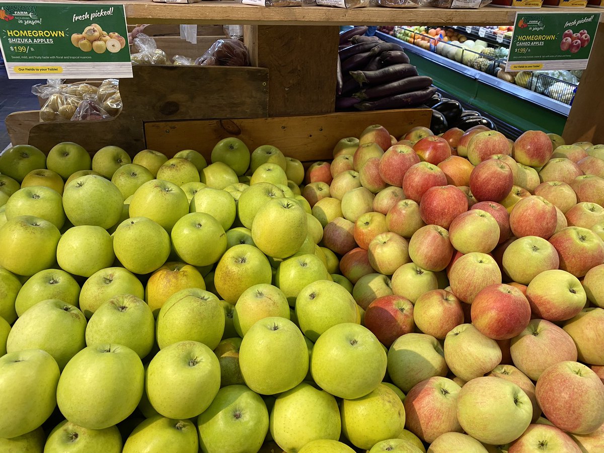 🍏🍎Crop update! We have loads and loads of awesome apples! Wed-Sun this week you can pick Honeycrisp, (last week for them), Crimson Crisp, Fuji, Red Jonaprince and Mutsu apples.