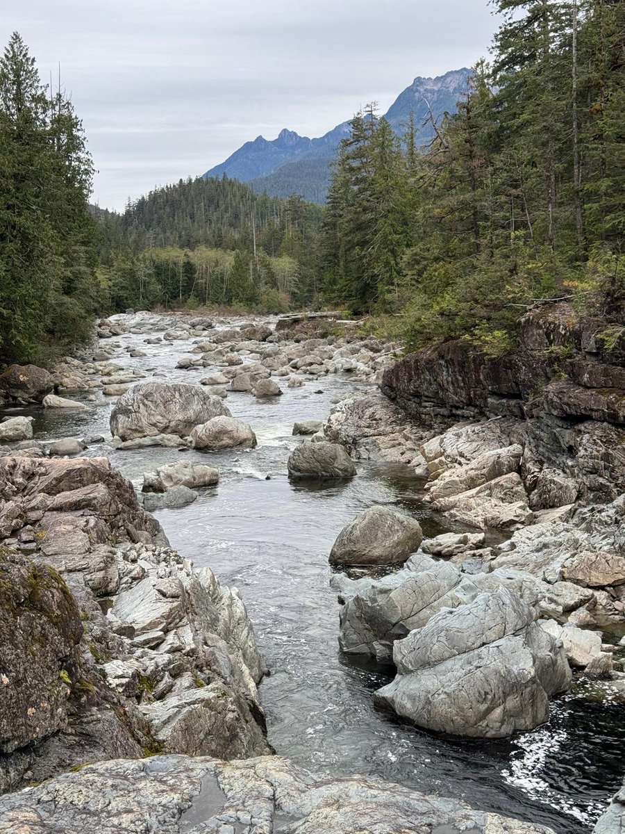 Wade Abbott tweet media