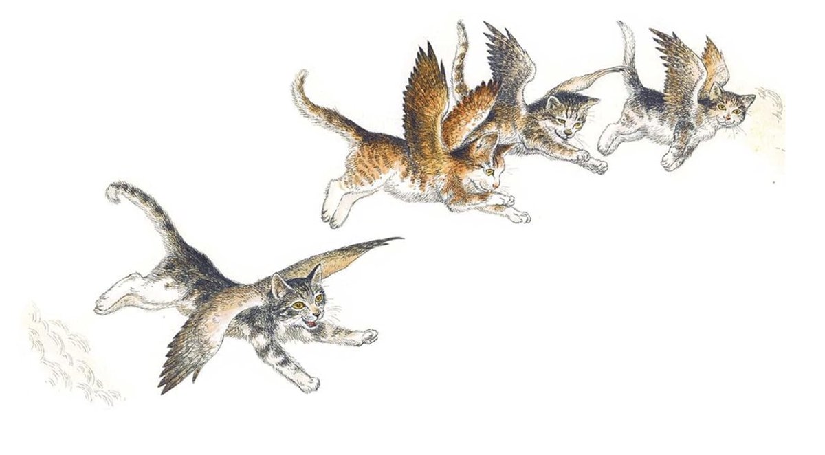 🪶Gale🐦‍⬛ tweet media