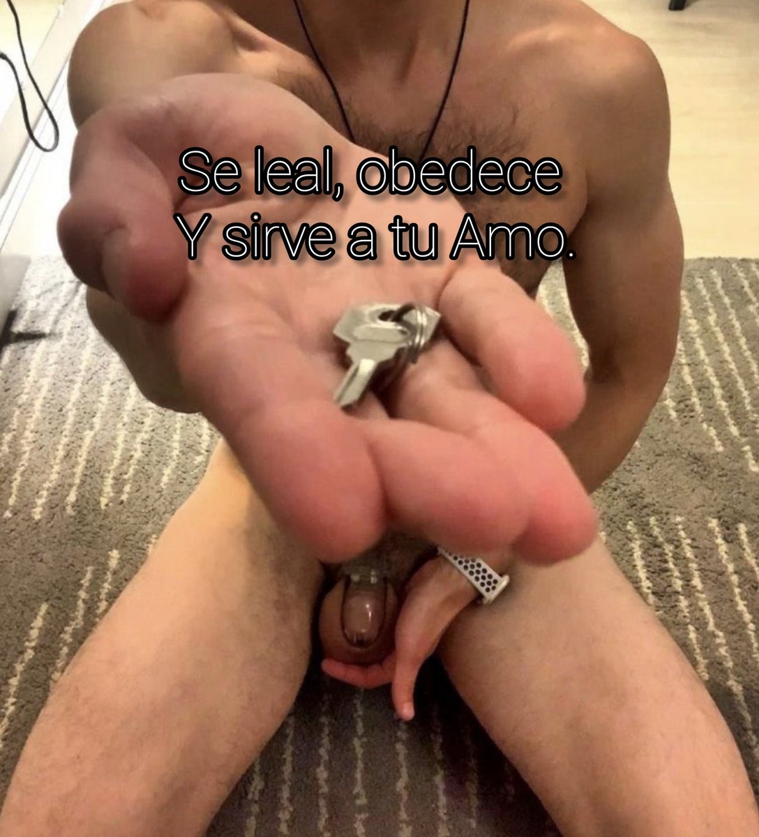 Locktober.
Todo octubre el esclavo usará jaula de castidad de forma permanente.
Utiliza la abstinencia para lograr mejores resultados en el gimnasio, demuestra disciplina, autocontrol y sumisión.

@topbottom22 
@Sweet_Putito