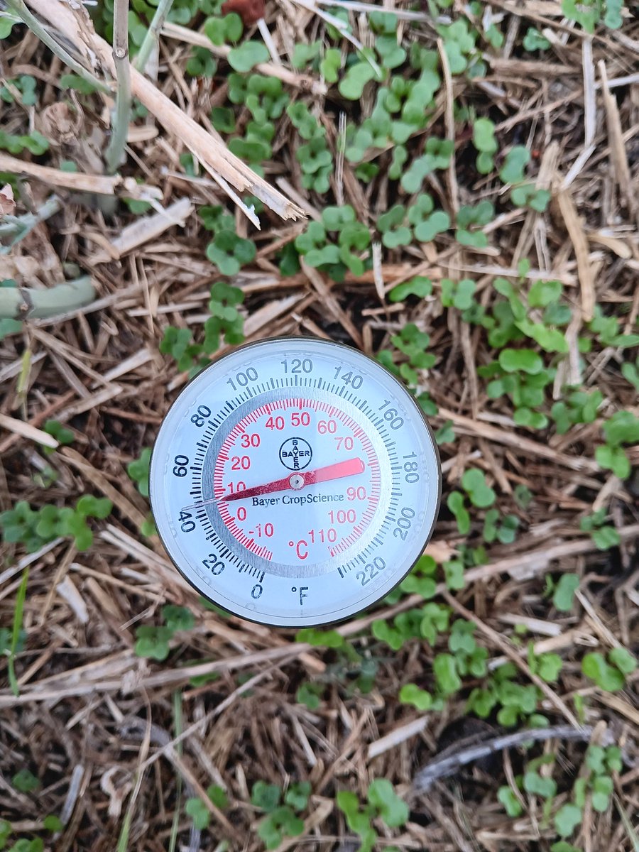 Robyn Gerrard (@rgerrard20) on Twitter photo Soil temperature this morning was 7-8 degrees C at 1-1.5 inches - LET THE FALL SEASON BEGIN! Soil sampling, granular herbicide application, fall fertilizer - the big push as long as Mother Nature will allow #agronomist <a href="/CoopAgroWetask/">Co-op Agro (Wetaskiwin)</a> <a href="/coopagro_crs/">CO-OP AGRO</a> #plant25 #scout24 #harvest24 Soil temperature this morning was 7-8 degrees C at 1-1.5 inches - LET THE FALL SEASON BEGIN! Soil sampling, granular herbicide application, fall fertilizer - the big push as long as Mother Nature will allow #agronomist <a href="/CoopAgroWetask/">Co-op Agro (Wetaskiwin)</a> <a href="/coopagro_crs/">CO-OP AGRO</a> #plant25 #scout24 #harvest24