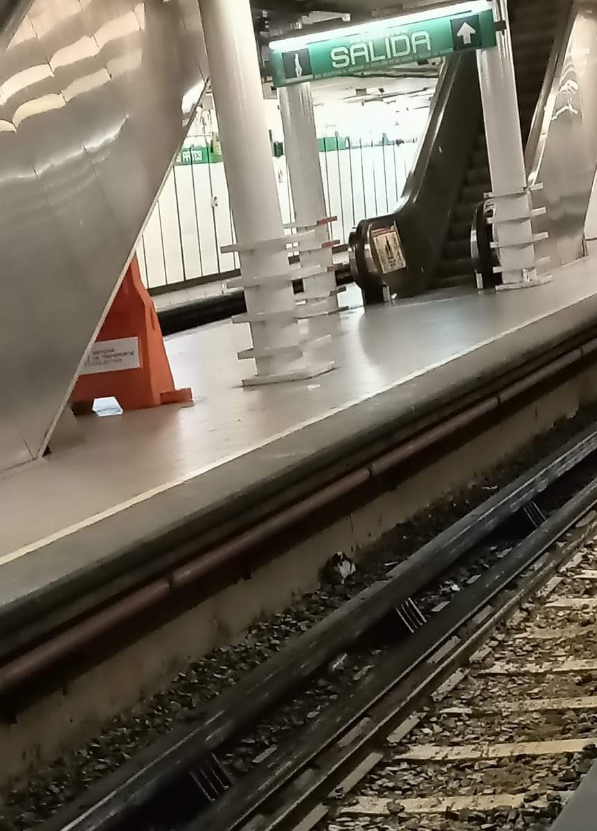 eLineRyns's tweet photo. @MetroCDMX Hay un gatito en las vías en estación Bellas Artes dirección Constitución de 1917!! https://t.co/0g61uRF2di