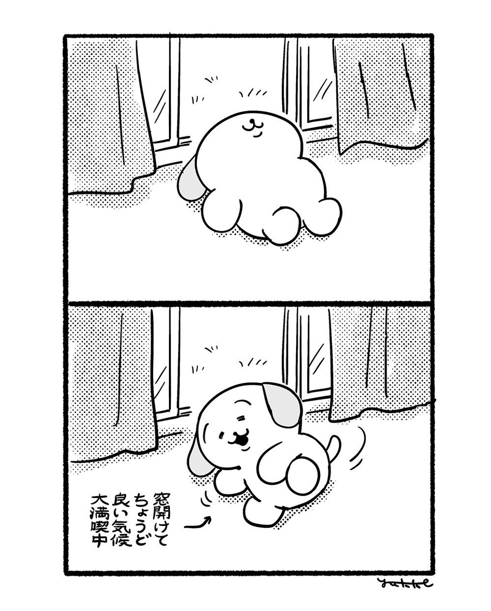 #ほがらかいぬねこ 