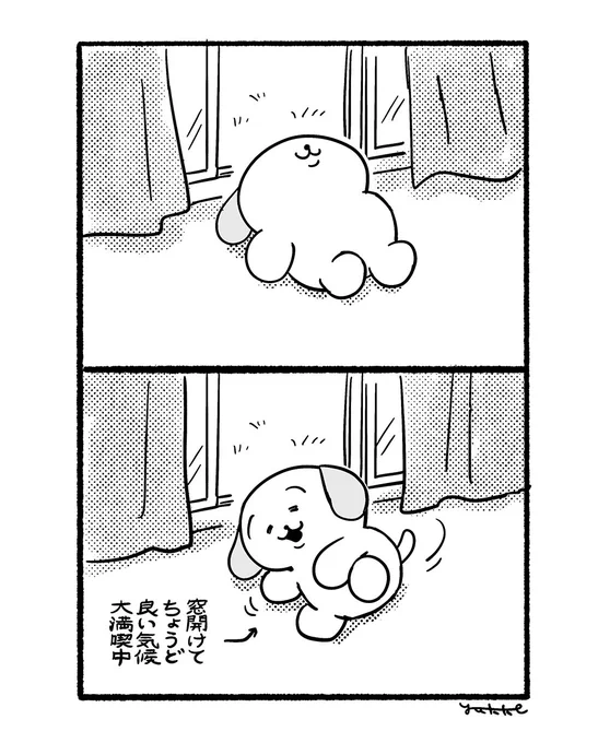 #ほがらかいぬねこ 