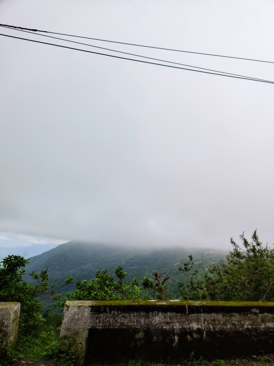 Doc_Rathi's tweet image. Post a picture YOU took. Just a pic. No description.