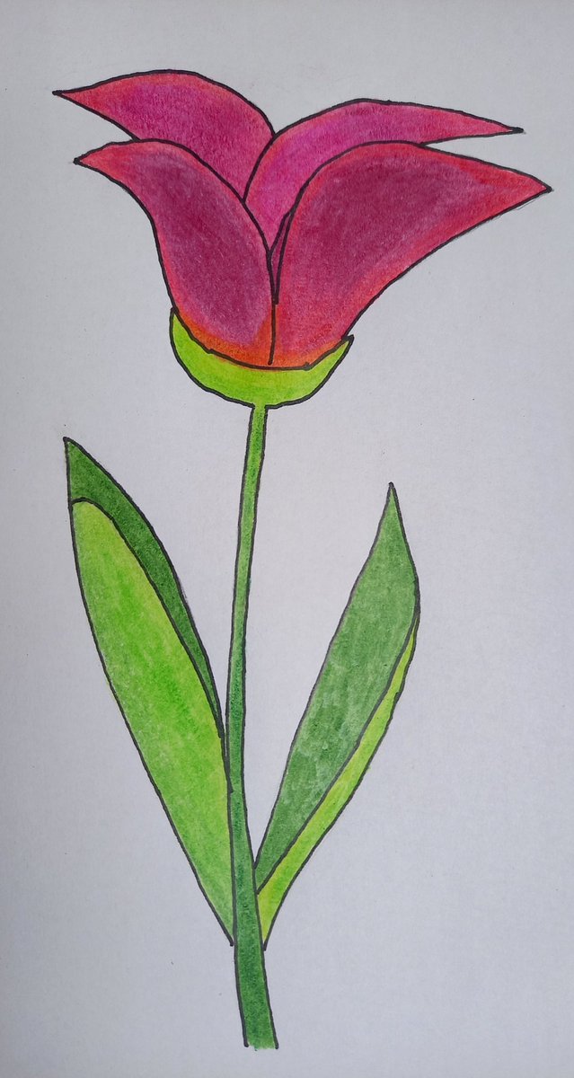 kazmitch2's tweet image. Today&apos;s #ShapeChallenge at @StudioTeaBreak with @ADsaxist.
Today only this quickie from the realm of flowers. Drawn with colored pencils at break.