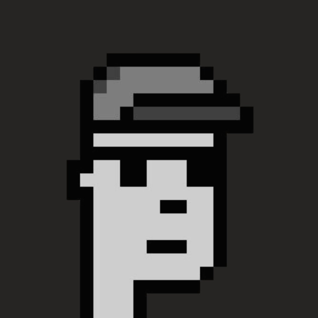 pripunks's tweet image. First Punks on Aleo.