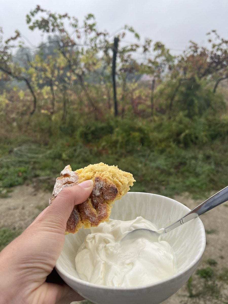 Nije Osat, al tu je to negdje. Pored volskih kola imamo i puru i kiselo mlijeko i više ljubavi nego mržnje. 🤗