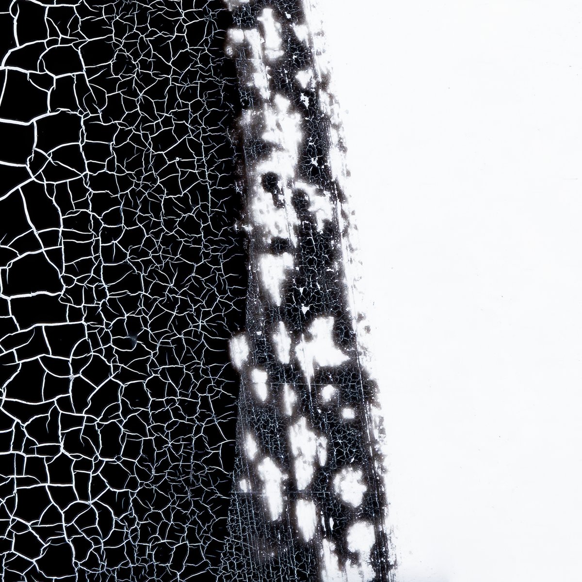 Subtext Recordings tweet media