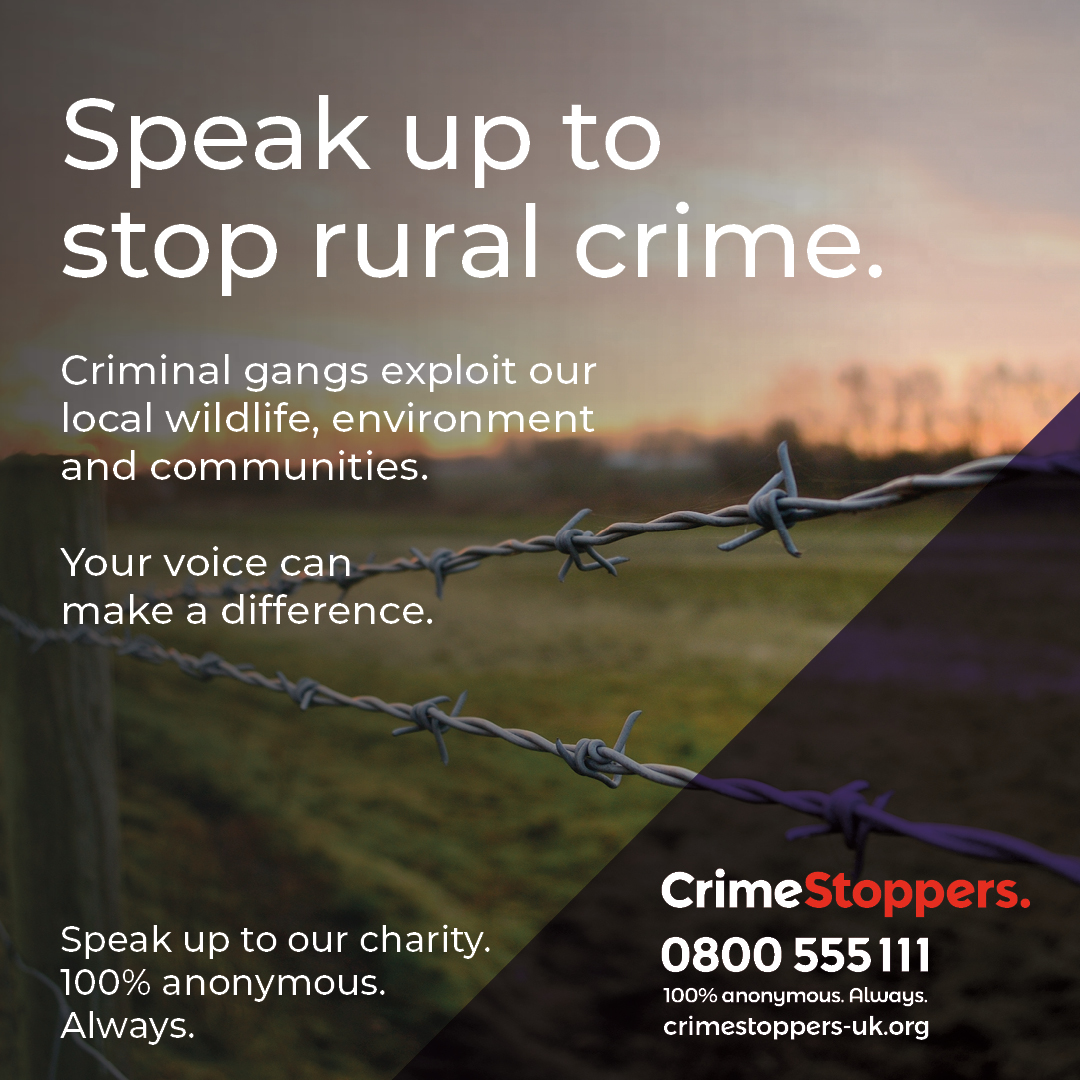 Criminals may travel across the country to carry out burglaries or thefts from rural properties.

Contact us anonymously about suspicious vehicles or individuals, install CCTV or video doorbells, and fit tracking devices to vehicles and machinery: crimestoppers-uk.org/news-campaigns…