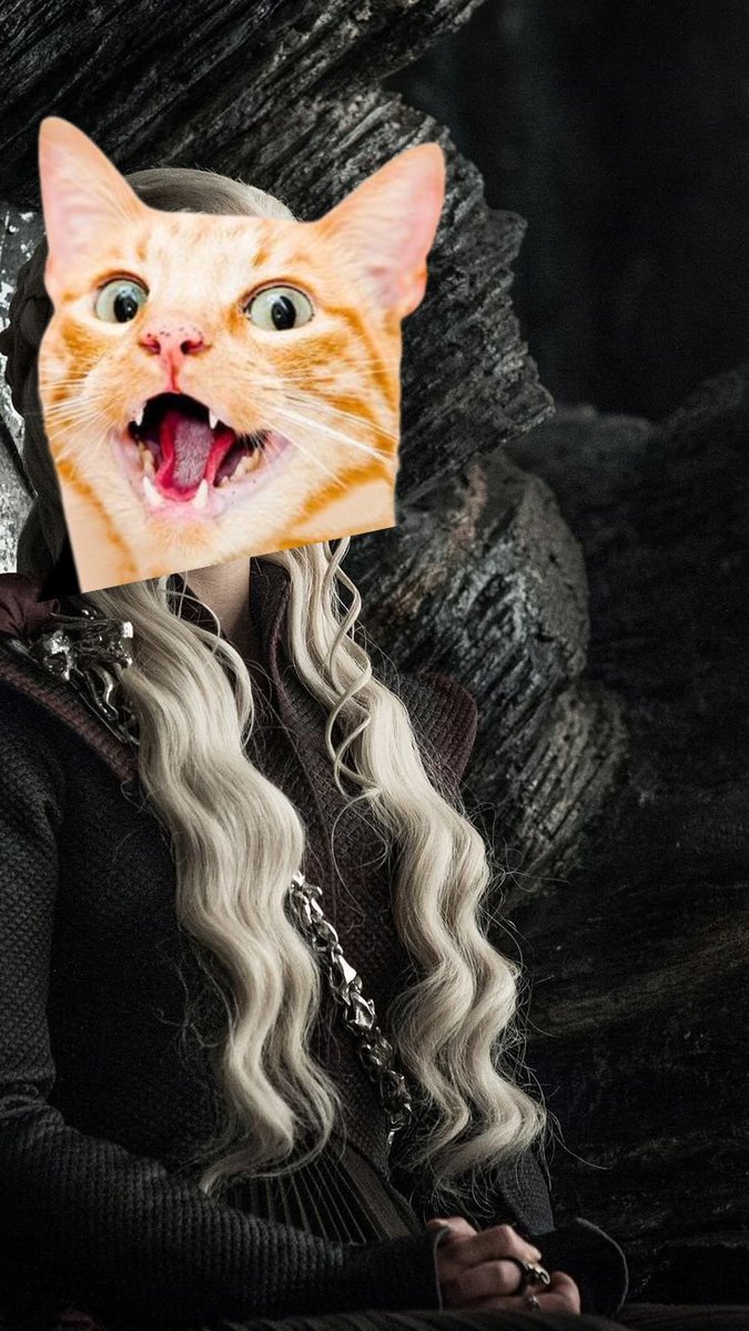 CatleesiMoC's tweet photo. When the Catleesi takes the throne, all shall purr!’ Join the Catleesi Catgeryan movement today. https://t.co/n293iJq49g