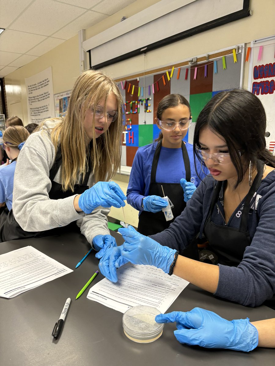 Plating bacteria in #medicaldetectives to test which antibiotic is most effective! Will report back Wednesday! <a href="/PLTWorg/">Project Lead The Way</a> <a href="/WarrenCoCareer/">WCCC (Warren County Career Center)</a> <a href="/KJHKnights/">Kings Junior High</a>