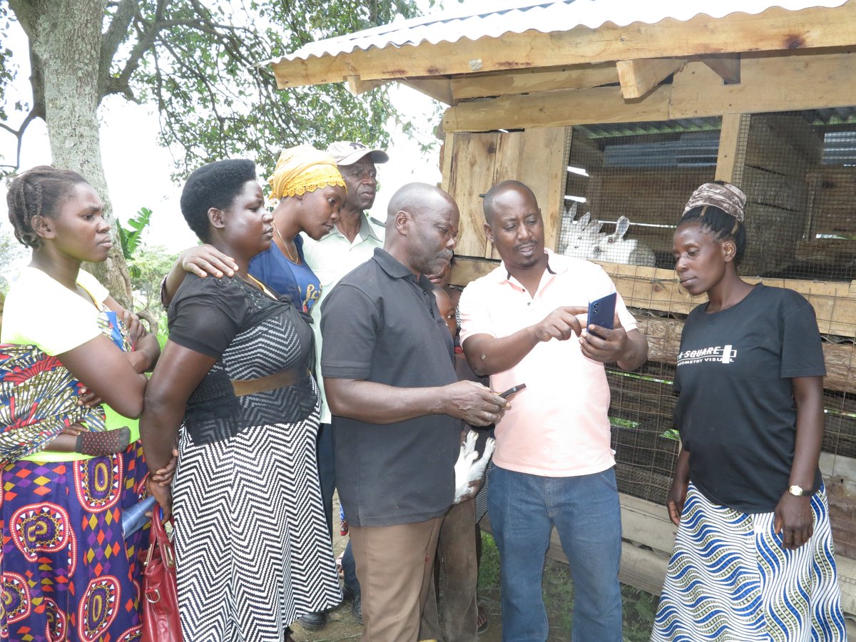 SAA_Uganda's tweet photo. We are empowering Kanyamura farmers in Kabarole district with E-extension for smarter livestock management! 🐄📱 With digital tools, this will boost productivity, animal health, and sustainability. #SAA #EExtension #LivestockManagement #DigitalFarming #SustainableAgriculture https://t.co/9oGKKATGFJ
