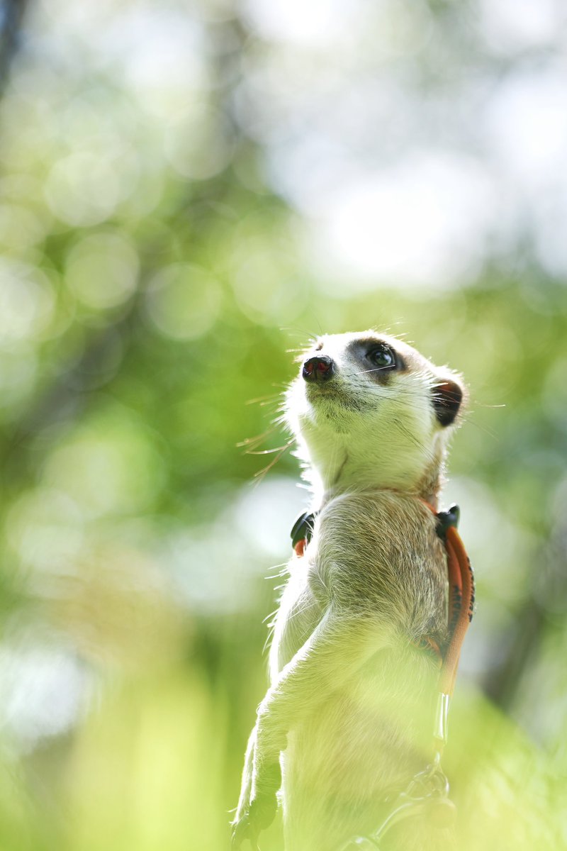 りょーすけ (@RyoRyoBlack5) / Posts / X