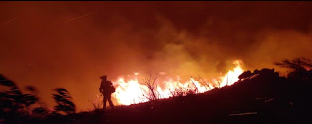 SandezSndez1's tweet photo. Esto te espera como bombero forestal.

Una media de 30 años respirando humo, tragando cenizas, varios accidentes laborales y quemarte las pestañas de vez en cuando... 

Pero para algunos "pisamoquetas del senado" no tendrás derechos a enfermedades profesionales. https://t.co/drC8BGLbQQ