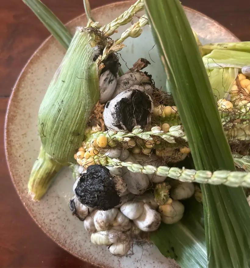 CanariasGourmet's tweet photo. La cocina mexicana ‘revoluciona’ Tenerife
Por: @sergioloj  
El valor geoestratégico del Archipiélago como privilegiado punto de escala en las rutas de navegación abiertas tras el descubrimiento del Nuevo Mundo 
Leer más: https://t.co/faSozE8wS0
#comida #food #mexico #foodporn https://t.co/PX7b4p7CyK