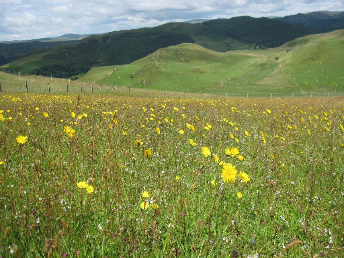 The only way to detect slow-acting impacts that #ClimateChange has on the #environment is to look at the #evidence that comes from #LongTermExperiments (#LTEs). Each LTE registered with us has a publications page. Select an LTE &amp; see the evidence: lght.ly/509jc2