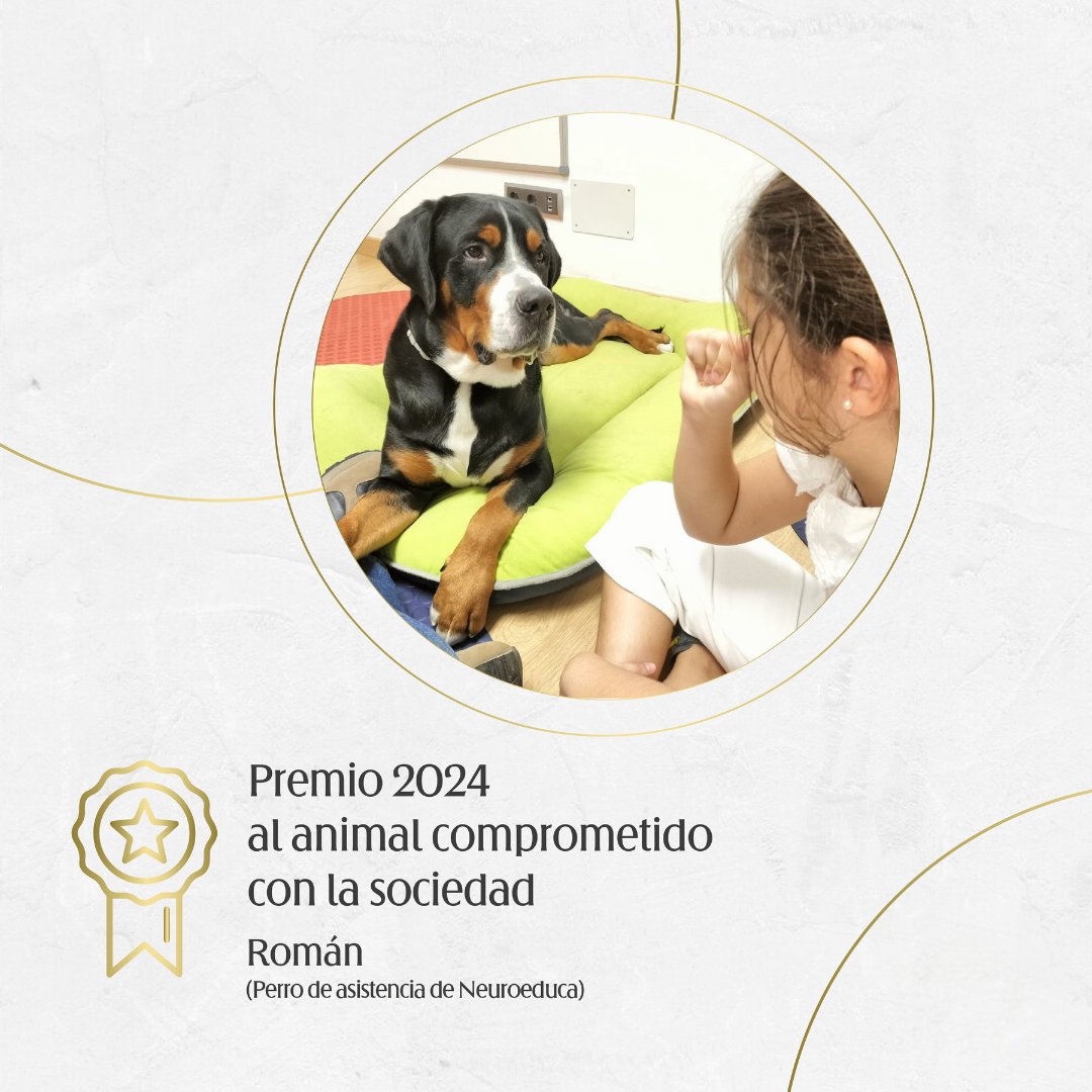 🗓️🏅 El próximo viernes, 04 de octubre, haremos entrega de los galardones de nuestros Premios ICOVZ 2024.
🐶 Uno de ellos será para Román, perro de asistencia de Neuroeduca, que recibirá el galardón al animal comprometido con la sociedad.
#OneHealth #Veterinario #veterinarioszgz