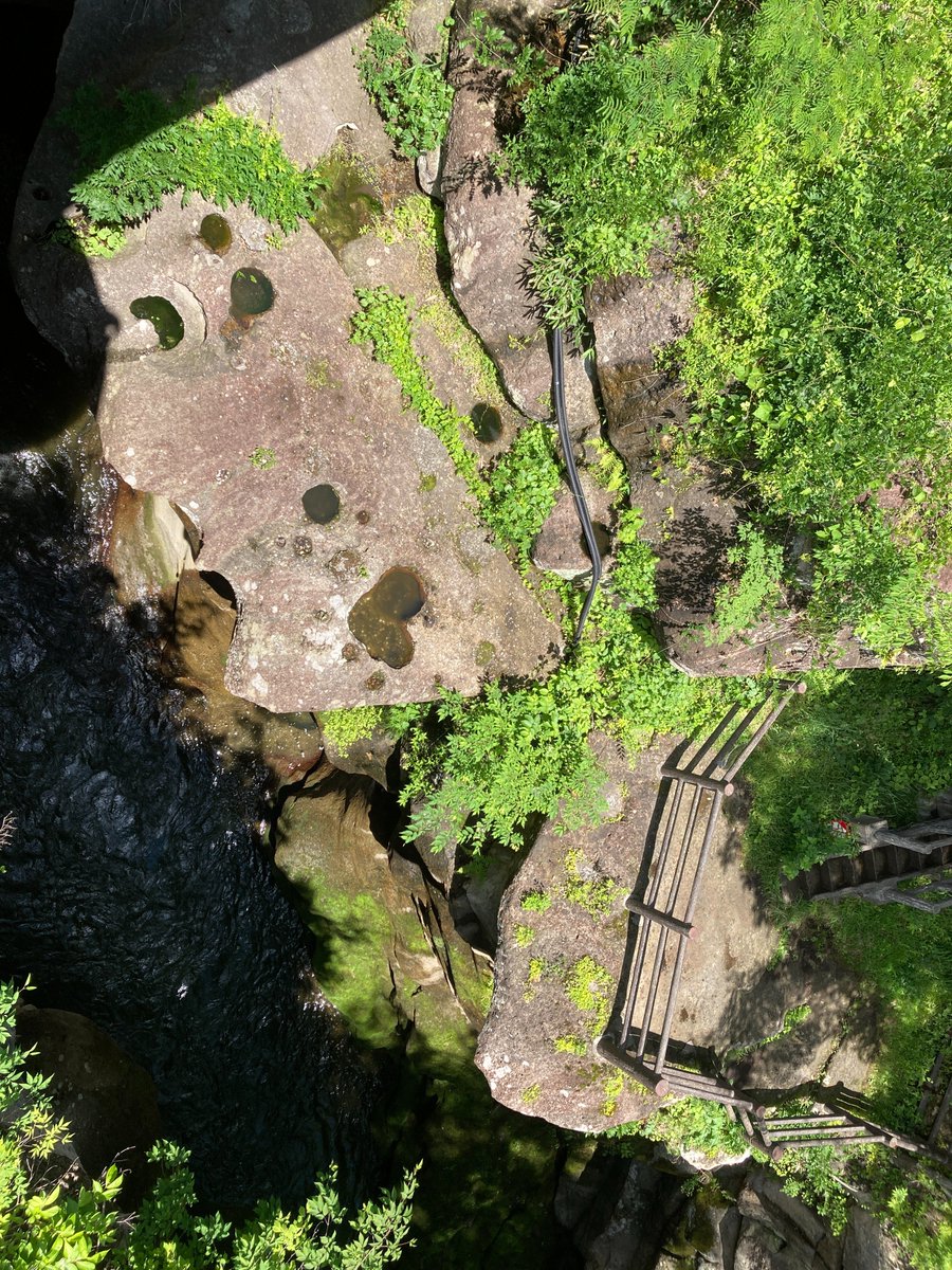 sendaitaxigroup's tweet photo. 今日はドライバーから素敵な写真が送られてきました！
秋保温泉の磊々峡と言う場所なのですがとてもキレイに撮れていたので紹介させていただきます！
こちらの写真は7月中旬に撮影したとの事ですが１０月の後半からは色づき始めます。
素敵な景色を見にどうぞお越しください。 https://t.co/y9kqYUwufz