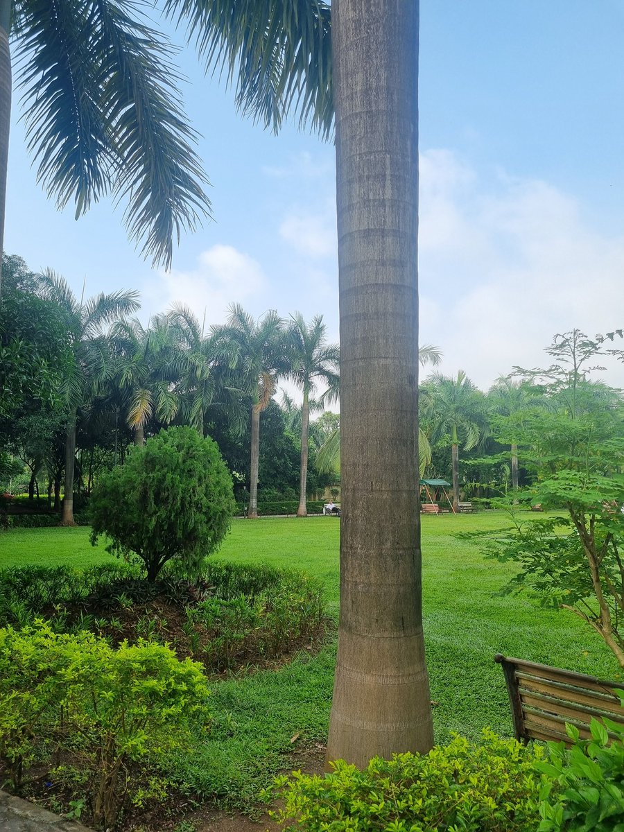 Be pleased by this super cleanliness and quietness of  garden guys and rate this garden according to your likings.
My favorite garden,I usually come here to refresh myself..
