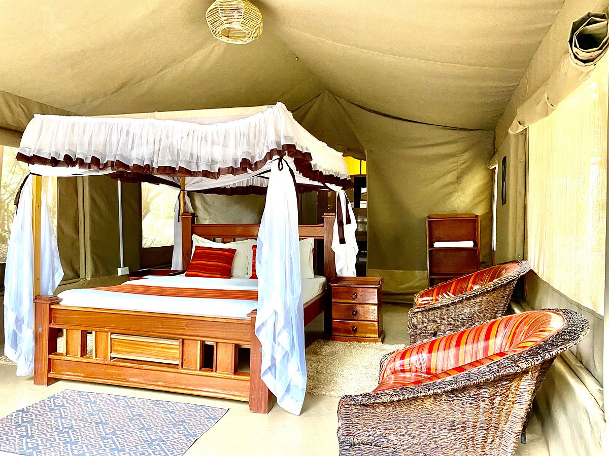 LongviewTravel's tweet photo. Happy New Week! 🌿 Kickstart your week with an unforgettable safari experience at Enchoro Wildlife Camp in the stunning Maasai Mara! 🦁🏕️ Book now and connect with nature in comfort and style.  #EnchoroWildlifeCamp #MasaiMara #SafariAdventure #FreeMoraraKebaso #JusticeForBruce https://t.co/d8tK4SQMKT