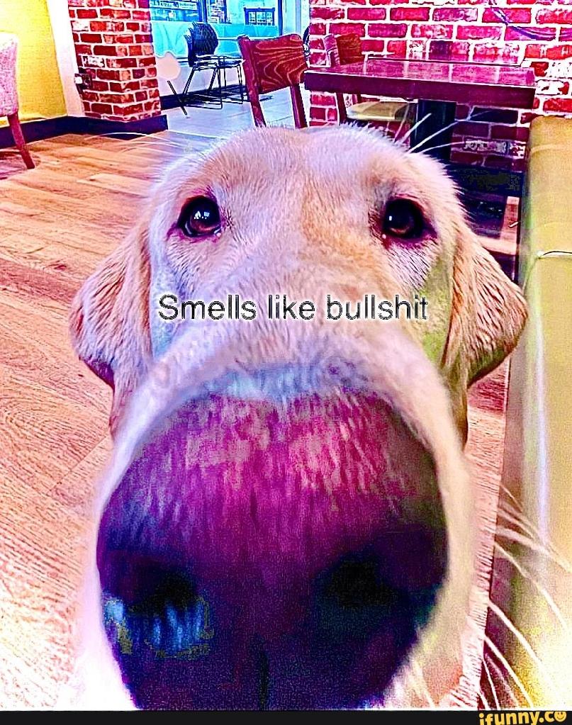 wigga_fofa_69 tweet media