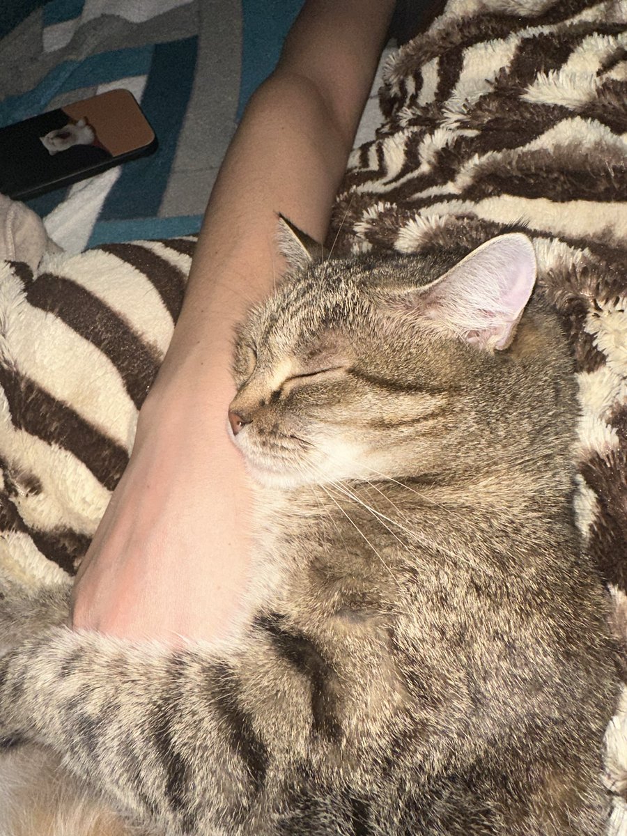 На странице приюта увидела историю своей Эммы, когда забирала, не смотрела даже. Ее бросила предыдущая семья и уехала, она несколько дней сидела на каких-то трубах, не спускалась, не ела, не пила. 

Как можно ее бросить😭