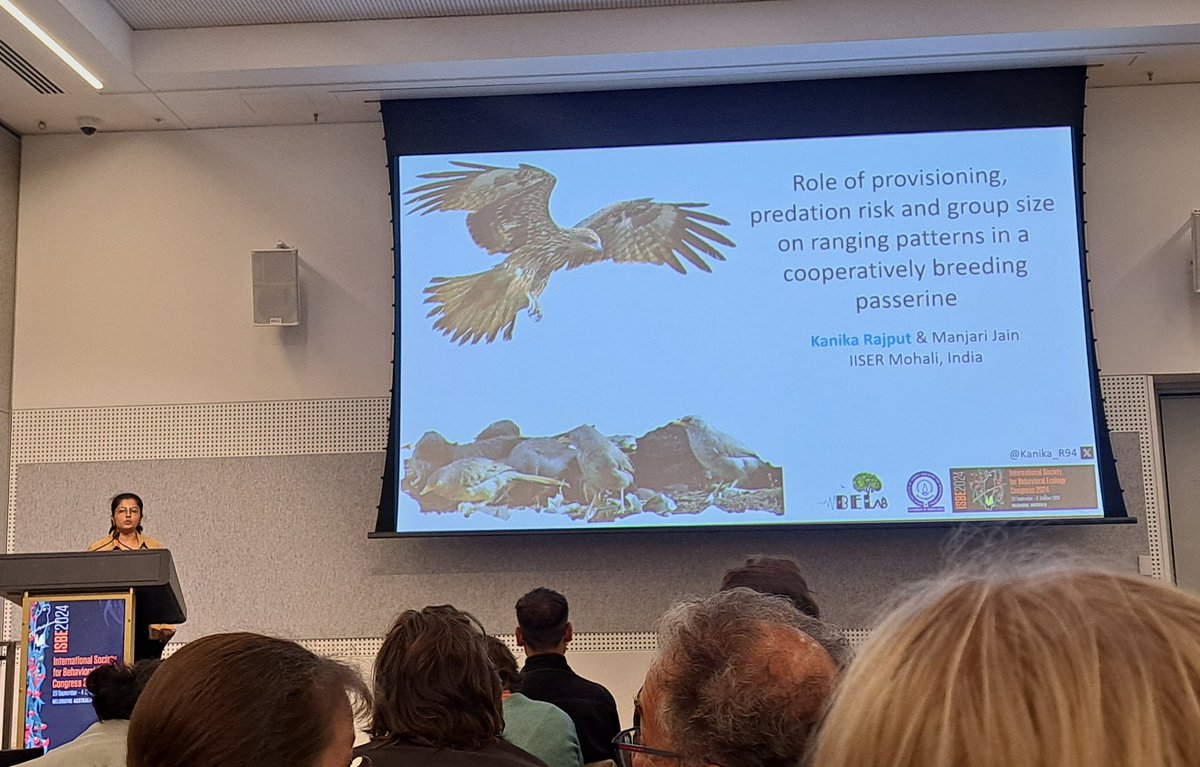 minivets's tweet photo. Today @Kanika_R94 presented our work on the determinants of the movement ecology of Jungle Babblers @ISBE2024 
Got important feedback from many on our work, including  @mandy_ridley;
Also met and discussed with @YitzchakBM  and @AlejandroAlaman and @KeynanOded 
Yay #Babblers 😍 https://t.co/z8OoOwLiyY