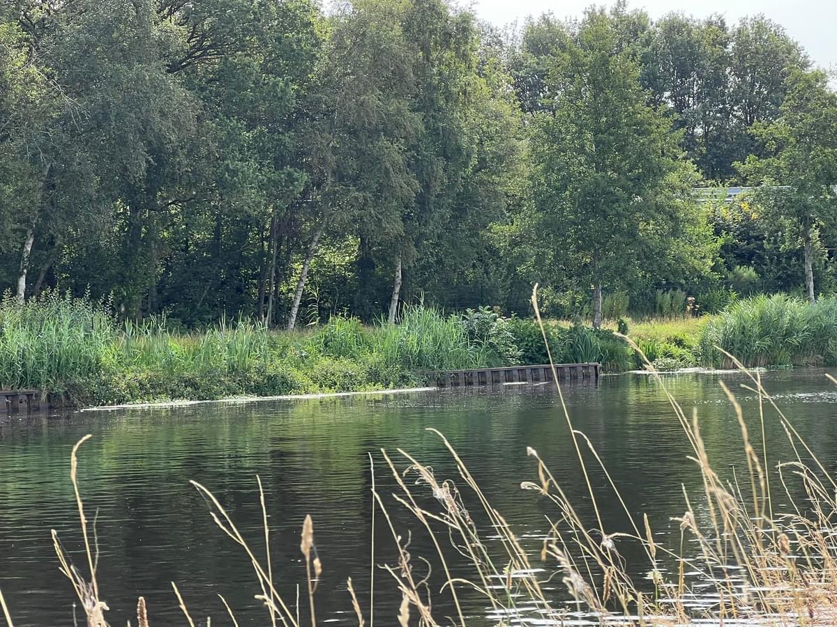Deze maand starten we met het vervolg van de aanleg van natuurvriendelijke oevers langs het Noord-Willemskanaal. Het gaat om 800 meter ten zuiden van de Vriezerbrug tussen de laad- en loswal en de Onlandweg. Hiermee willen we de diversiteit aan waterplanten en -dieren vergroten.