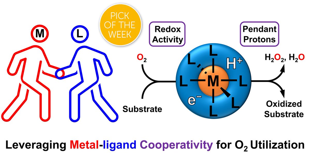 Chemical Science (@chemicalscience) on Twitter photo Our #ChemSciPicks for this week is from <a href="/kateajesse/">Kate Jesse</a>, <a href="/jsandersonlab/">jsandersonlab</a> at Los Alamos National Laboratory and <a href="/UChiChemistry/">UChicago Chemistry</a>!
"Leveraging Ligand-Based Proton and Electron Transfer for Aerobic Reactivity and Catalysis"
Read for free with Diamond OA:
doi.org/10.1039/D4SC03… Our #ChemSciPicks for this week is from <a href="/kateajesse/">Kate Jesse</a>, <a href="/jsandersonlab/">jsandersonlab</a> at Los Alamos National Laboratory and <a href="/UChiChemistry/">UChicago Chemistry</a>!
"Leveraging Ligand-Based Proton and Electron Transfer for Aerobic Reactivity and Catalysis"
Read for free with Diamond OA:
doi.org/10.1039/D4SC03…