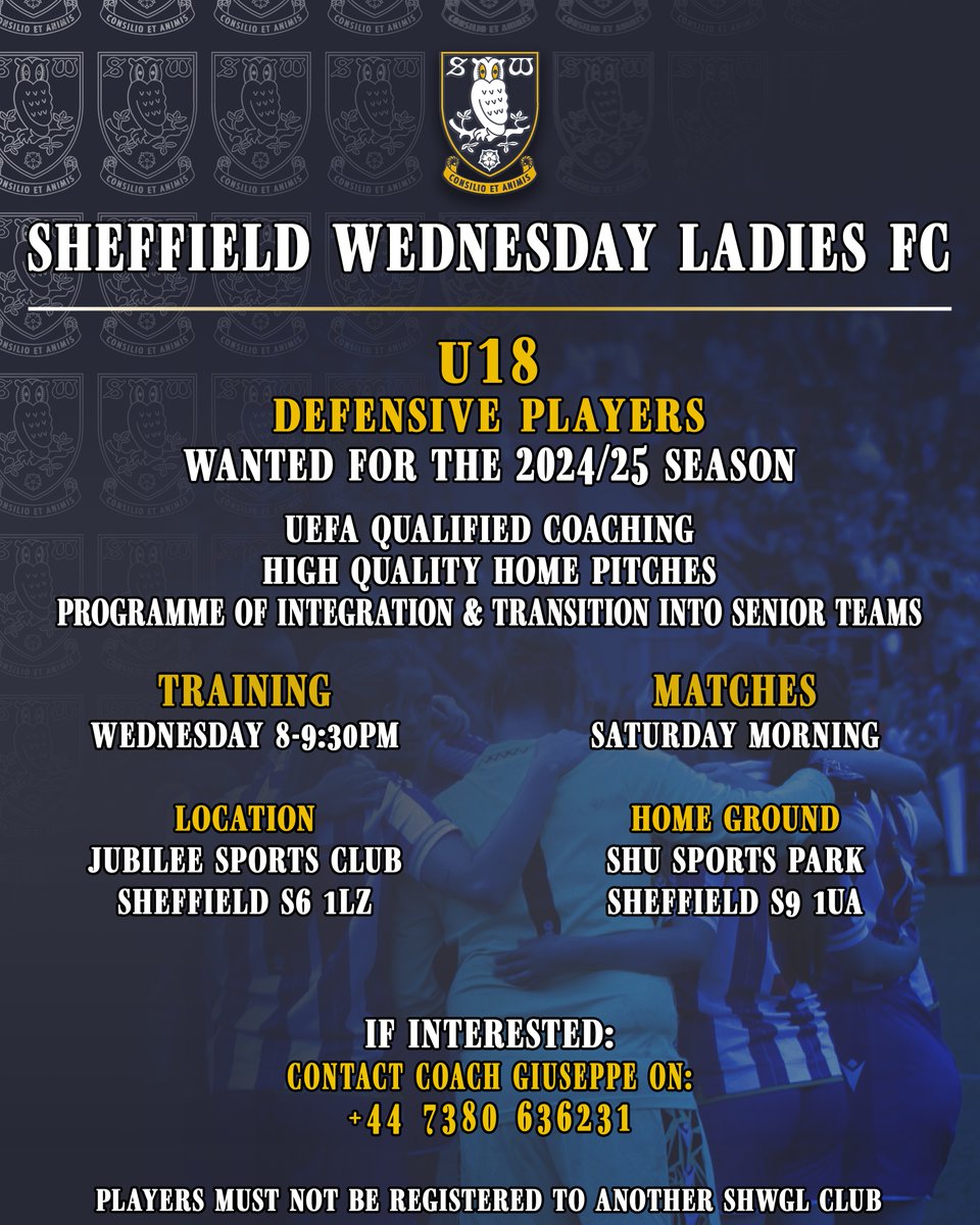 Our U18s are currently looking to add to their squad for the 2024/25 season!

Details are below on how to apply 👇

Please note that players must not be registered to another SHWGL club.

#SWLFC | #OneTeam