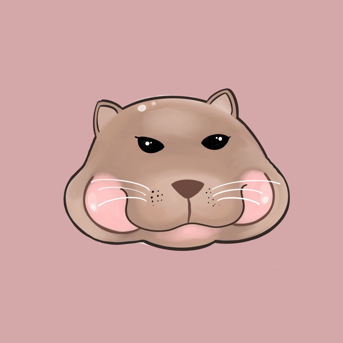 MEOWWWWWW 🦛😺

#meowdeng #moodeng