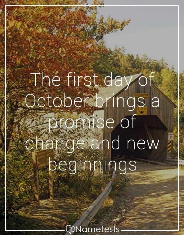 DonnaEn34569563's tweet photo. Happy October 1st! Rabbit Rabbit Rabbit 🧡 https://t.co/KUdTo2zPBY