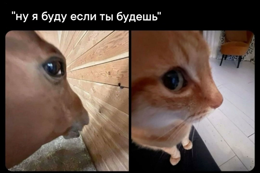 ane__mur's tweet image. 