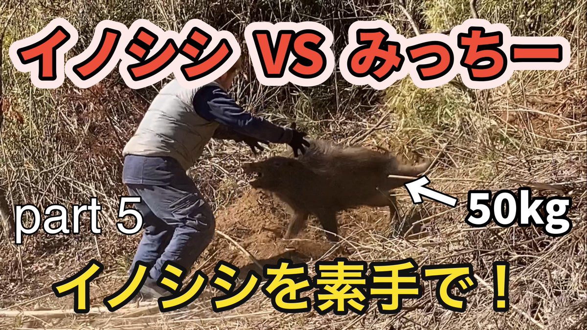 みっちー隊長【YouTuber】 tweet media