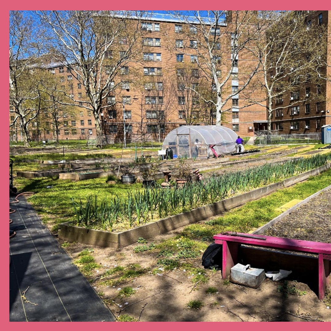 Urban Future. tweet media