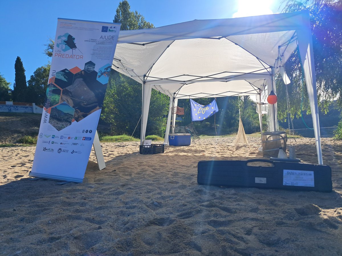 FishInvasionLab's tweet image. We are ready for another out reach action with school children of the #lifepredator and #megapredator project from @MAREscience. This time in Constância by the Tagus river @LIFEprogramme